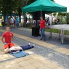 dziendziecka2018terespol 9